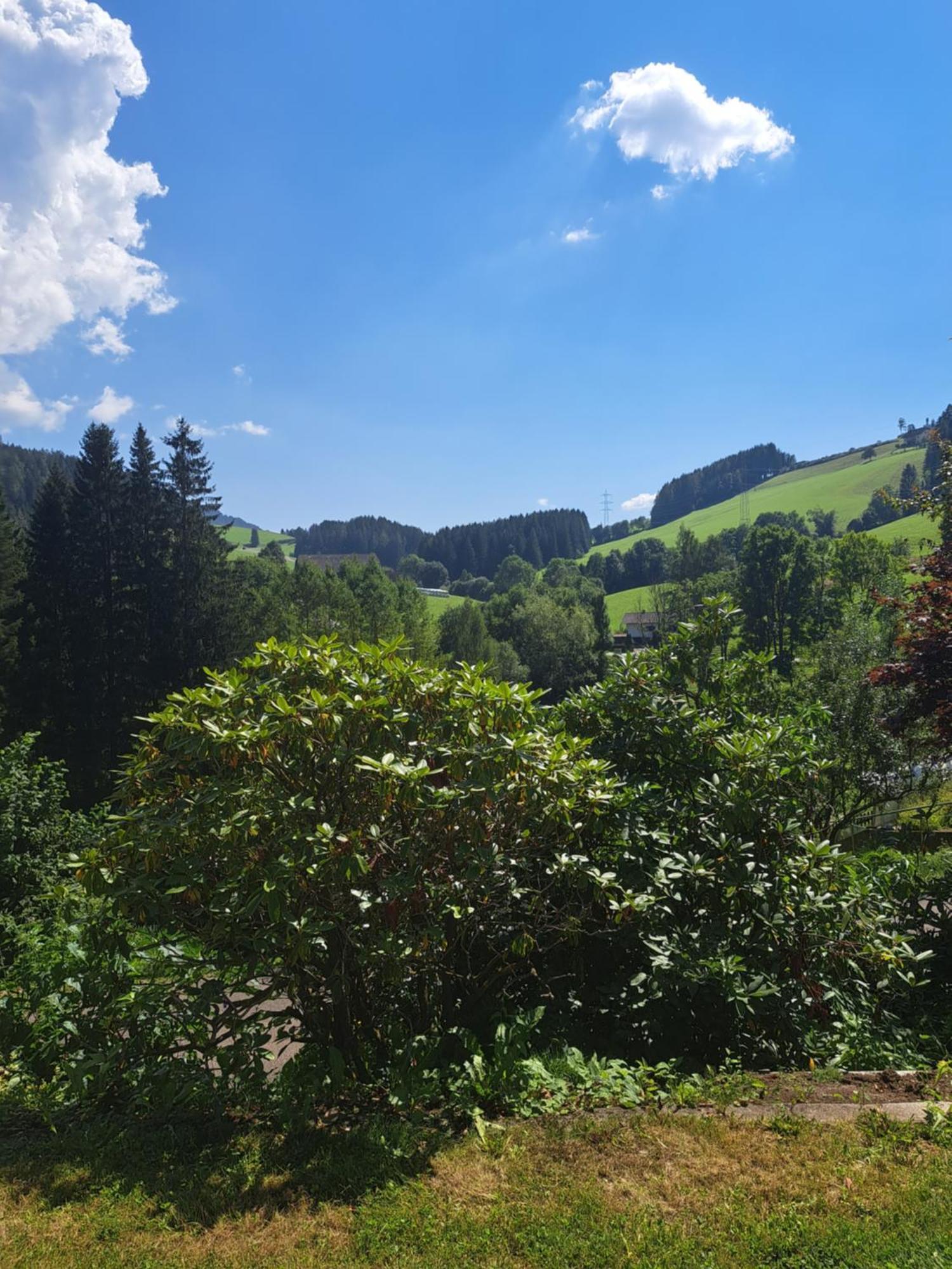 Baumgartner - Bauernhaus Weißkirchen in Steiermark Esterno foto